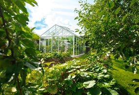 Green Room Classic växthus inbäddat i grönska.